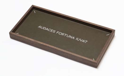 Audaces fortuna iuvat